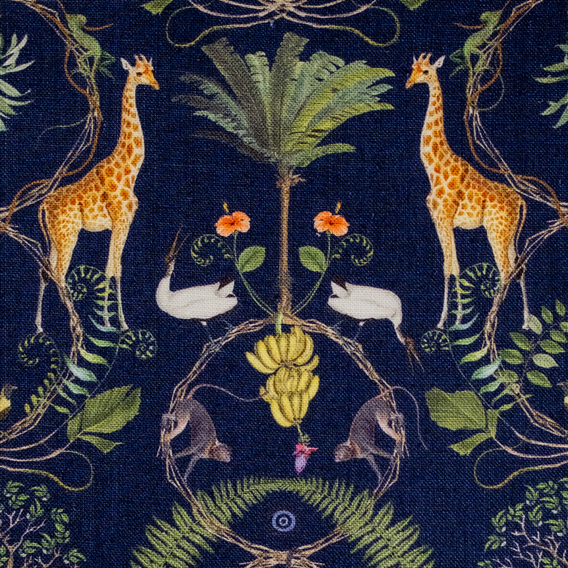 SALMAGUNDI in MIDNIGHT