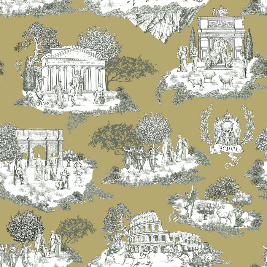 OLYMPIA in OLIVE