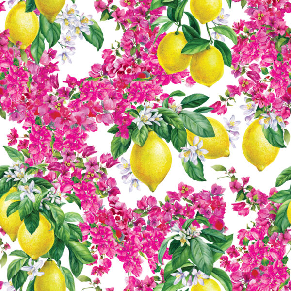 Ciao Bella in BRIGHTS