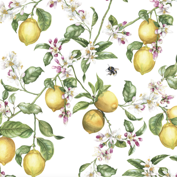 LIMONE in PARCHMENT